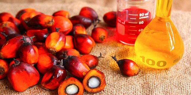 Marche Che Usano Olio Di Palma