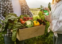Un assortimento di prodotti biologici e plant-based in un mercato in crescita, con un focus su sostenibilità e benessere.