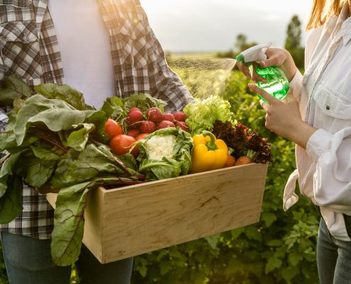 Un assortimento di prodotti biologici e plant-based in un mercato in crescita, con un focus su sostenibilità e benessere.